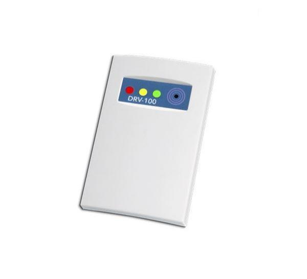 DRV 100 GARNET VIDRIO Y SHOCK